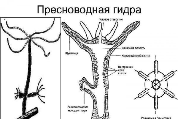 Ссылка кракен официальная тор