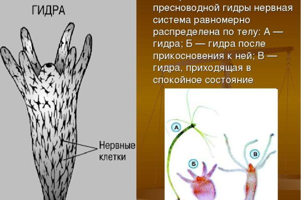 Кракен это что за магазин